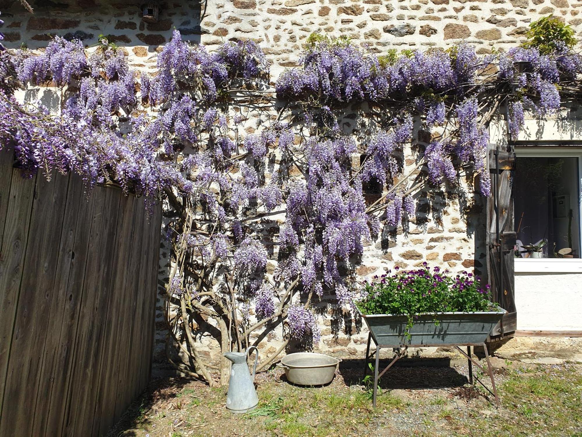 Villa Fermette Dans Les Pays De La Loire Izé Exterior foto
